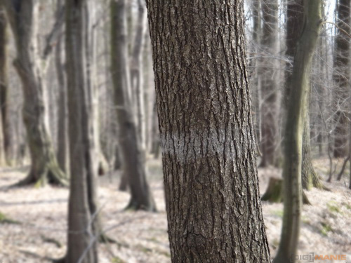 Sony Cyber-shot TX10: odolný zálesák