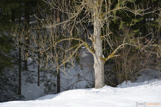 Nikon D600: vynikající vstup do světa full frame