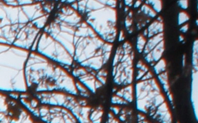 Sony SEL-1855 (E 3.5-5.6/18-55 OSS)