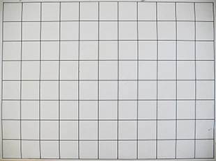 Panasonic Leica DG Vario-Elmarit 12-35mm / F2.8 ASPH. / Power O.I.S