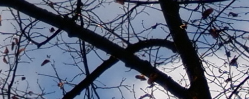 Panasonic Leica DG Vario-Summilux 25-50mm F1.7 ASPH.