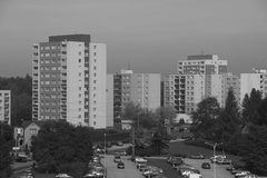 Canon EOS 550D: třídní premiant