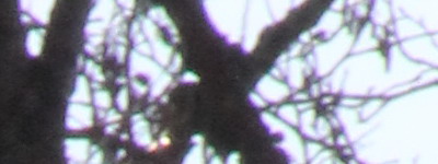 Megatest ultrazoomových objektivů