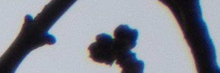 Panasonic Lumix TZ70: krůček k profi ultrazoomu