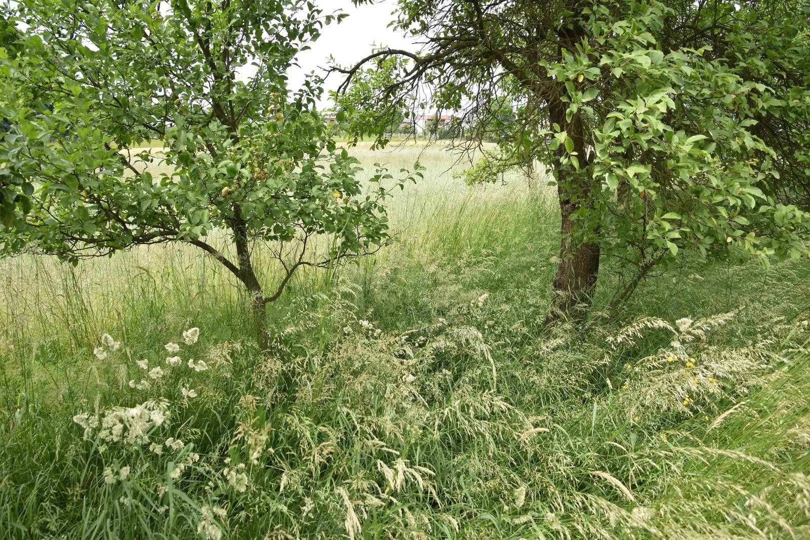 Tamron 16-300mm f/3.5-6.3 Di II VC PZD Macro