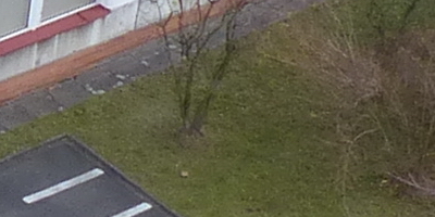 Panasonic Lumix FZ200: ultrazoomové překvapení roku