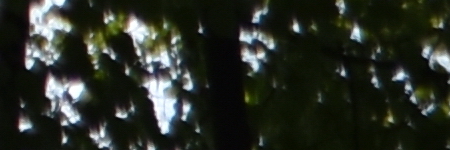 Tamron SP AF 10-24mm F3.5-4.5 Di II LD Aspherical IF