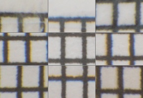 Nikon AF-S DX NIKKOR 55-200mm f/4-5.6G IF-ED VR