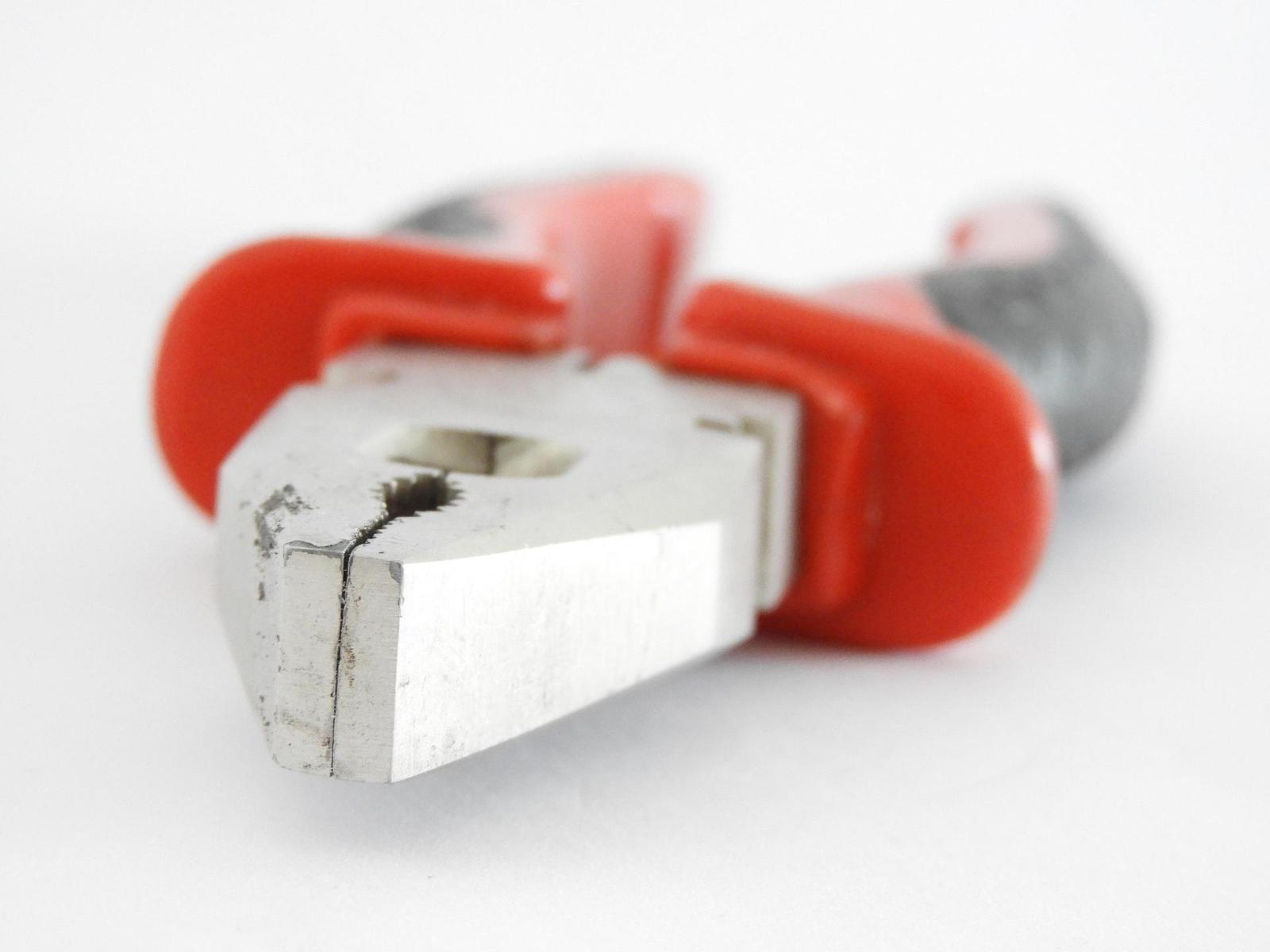 Nikon Coolpix B700: přírodovědec