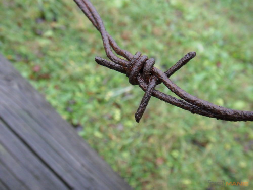 Samsung ST1000: nabitý technologiemi