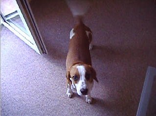 Olympus FE-5500: pomalý hubeňour