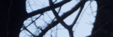 Olympus M.Zuiko Digital ED 14-42mm 1:3.5-5.6 EZ Pancake