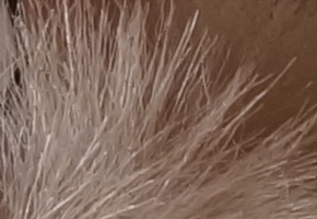 Sony NEX-6: pan dlouho očekávaný