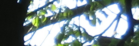 Canon PowerShot SX720 HS: kapesní šmírování