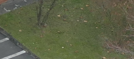 Panasonic Lumix FZ1000: legenda je zpátky