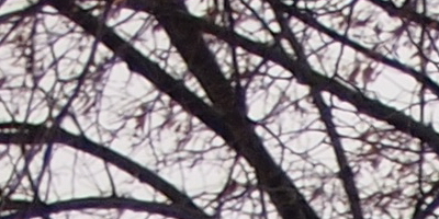 Olympus M.Zuiko Digital 14-42mm 1:3,5-5,6 II R