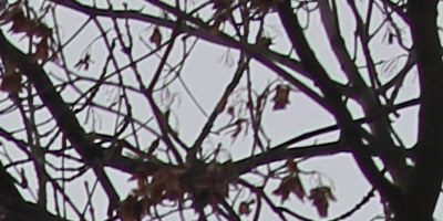 Samyang 35mm F1.4 AS UMC (pro Canon)