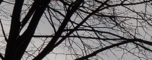 Panasonic Leica DG Vario-Summilux 10-25mm F1.7 ASPH.