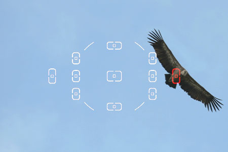 DSLR na cestě časem - 6. díl