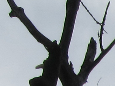 Canon PowerShot S90: malý zázrak