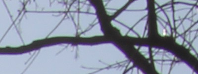 Megatest ultrazoomových objektivů