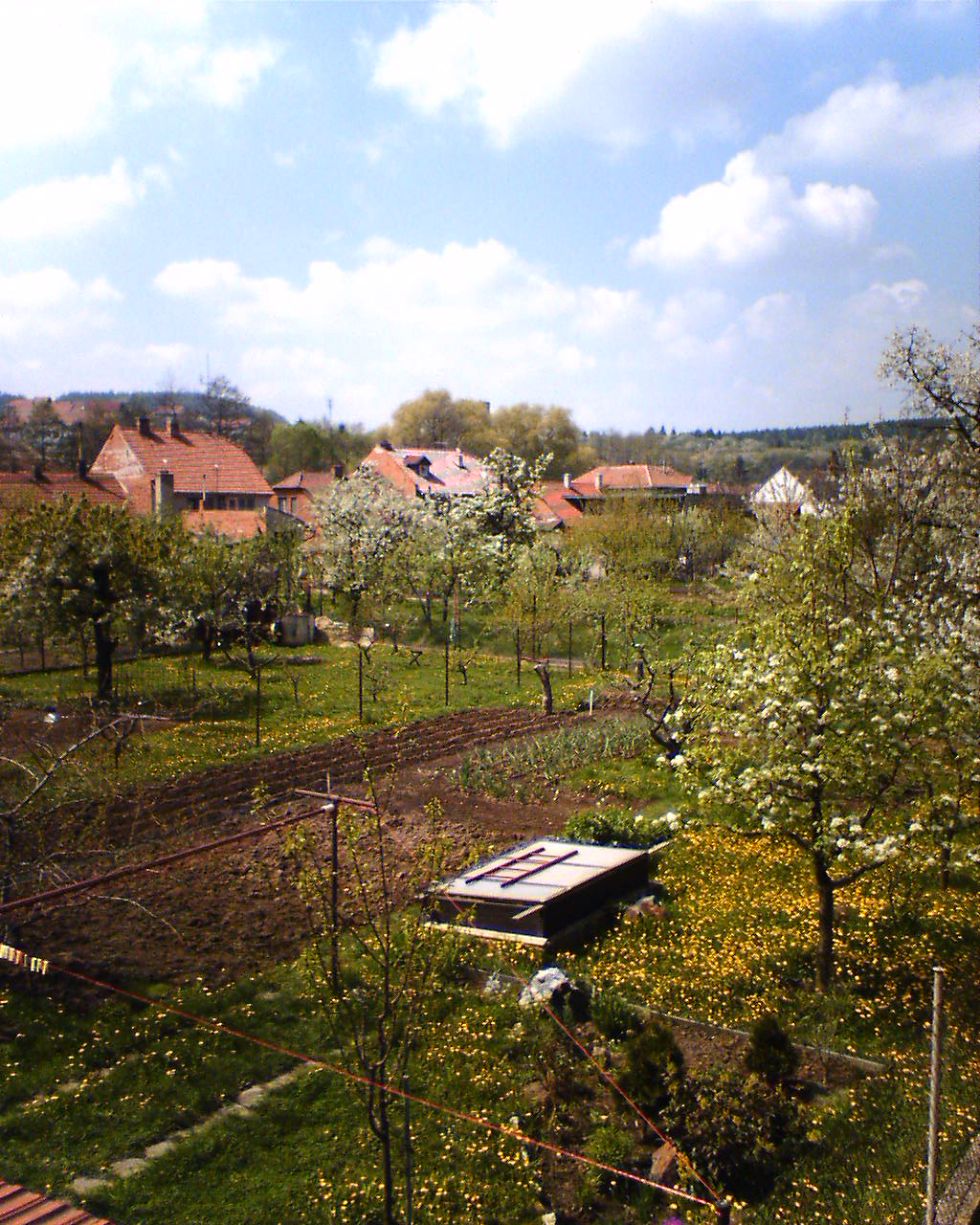 Téma pro tento měsíc - Jak fotí fotomobily, díl II.