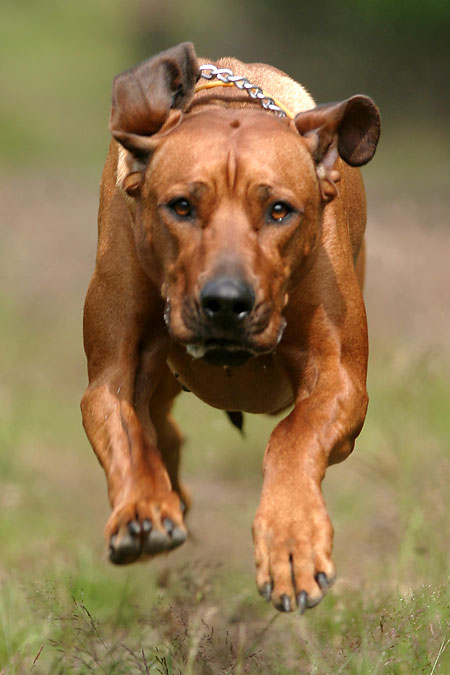 DSLR na cestě časem - 4. díl