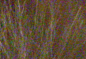 Olympus PEN E-PL5: s výkonnějším srdcem