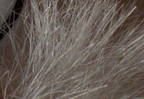 Sony SLT-A58: silný základ