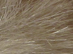 Canon PowerShot SX130 IS: levný všeuměl