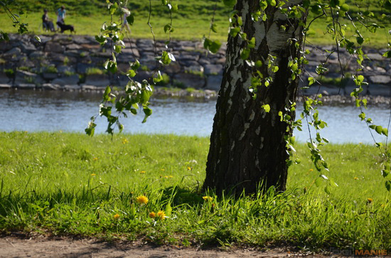 Nikon D5100: jeden z nejlepších?