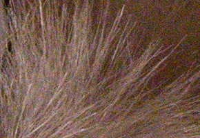 Sony NEX-6: pan dlouho očekávaný