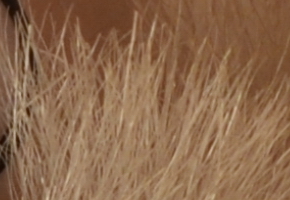 Nikon D5100: jeden z nejlepších?