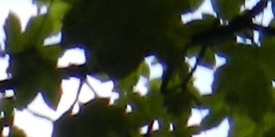 Nikon Coolpix S9100: rudý bojovník