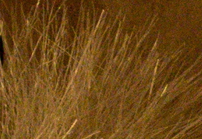 Nikon D5300: bezdrátový DSLR turista