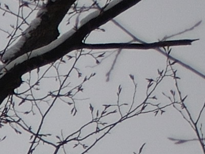 Dva objektivy nebo jeden ultrazoom?