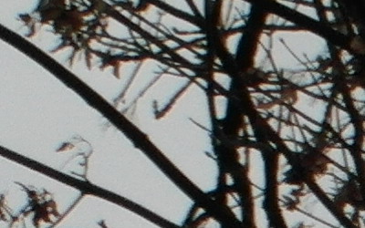 Samsung WB750: splnil očekávání?