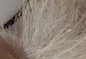 Sony Cyber-shot RX100: terminátor zrcadlovek