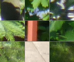 Panasonic Lumix TZ30: pokračovatel slavného rodu?