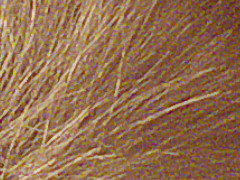 Fujifilm FinePix HS20EXR: důstojný nástupce