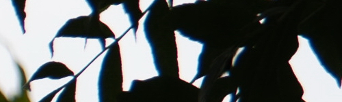 Panasonic Lumix S Pro 70-200mm F4 O.I.S.