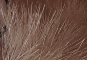 Sony a3000 (ILCE-3000): CSC co nejlevněji