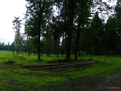 Pentax X70: neobyčejně univerzální kliďas