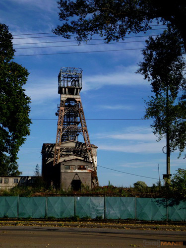 BenQ DC T1260: přítel citlivé peněženky