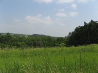 Canon PowerShot A700: Mezi kompaktem a ultrazoomem