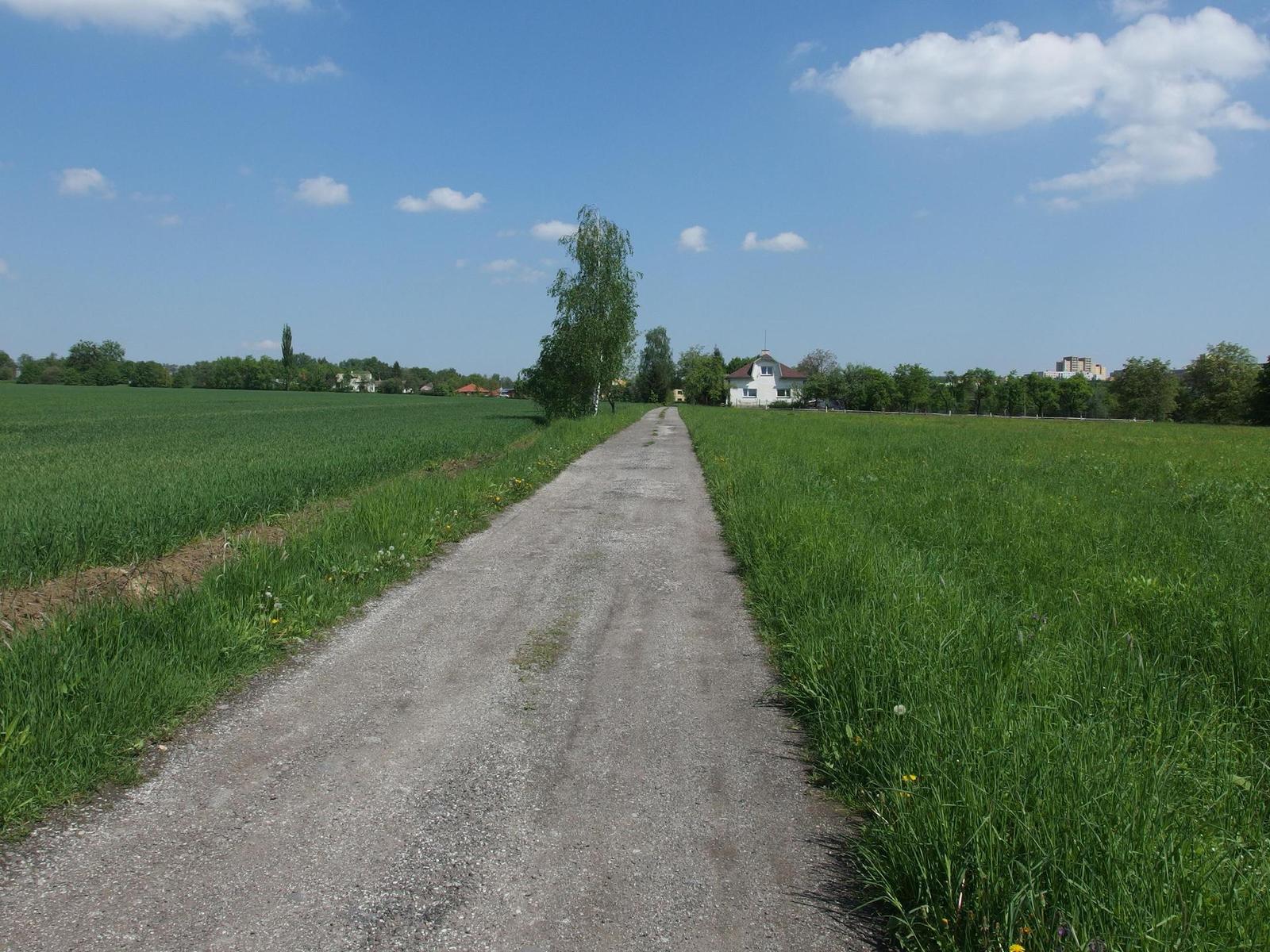 Olympus Stylus XZ-2: jednoduše skvělý