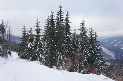 Sony NEX-5N: téměř ideální NEX