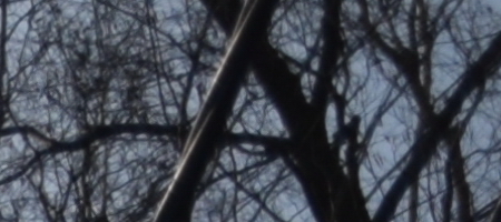 Nikon AF-S DX NIKKOR 16-85mm f/3.5-5.6G ED VR