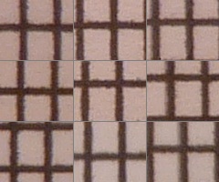 Panasonic Lumix TZ10: kapesní dělo