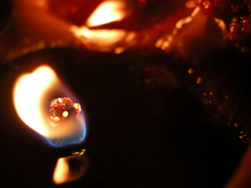 Nikon Coolpix P5100: trpělivý profesionál